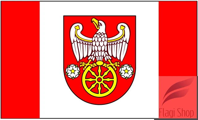 POL_powiat_kolski_flag.svg.png