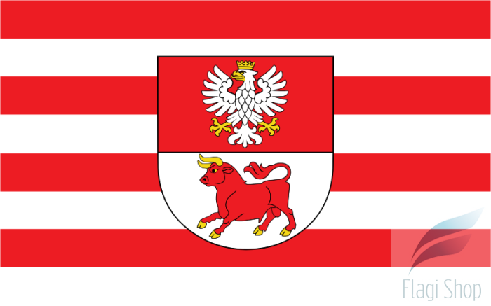 POL_powiat_bielski_(województwo_podlaskie)_flag.svg.png