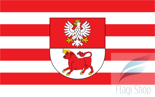 POL_powiat_bielski_(województwo_podlaskie)_flag.svg.png