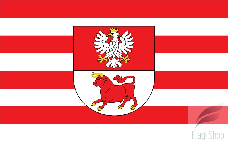 POL_powiat_bielski_(województwo_podlaskie)_flag.svg.png