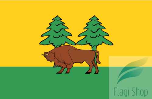 POL_powiat_hajnowski_flag.svg.png