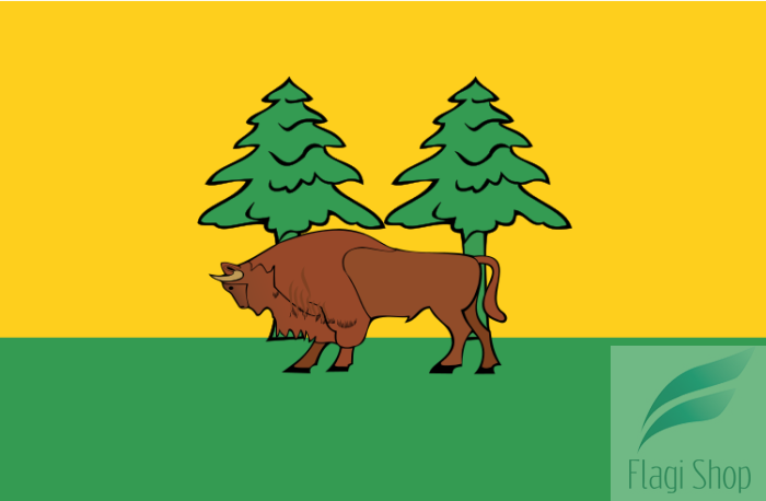 POL_powiat_hajnowski_flag.svg.png
