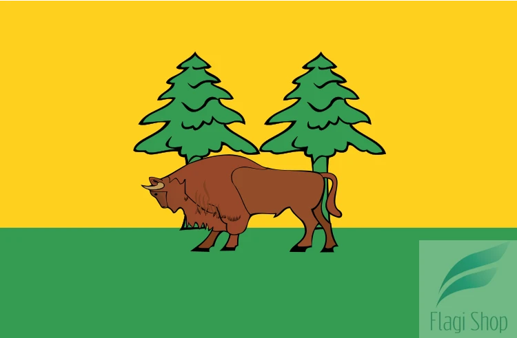 POL_powiat_hajnowski_flag.svg.png