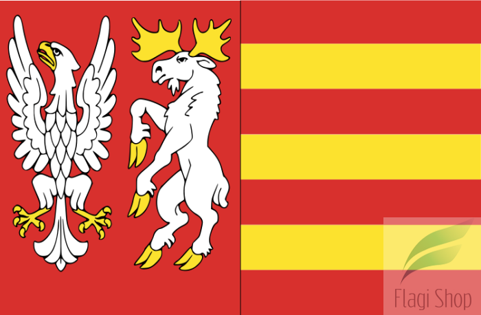 750px-POL_powiat_moniecki_flag.svg.png