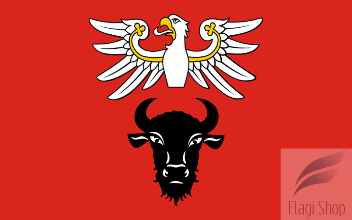 800px-POL_powiat_zambrowski_flag.svg.png