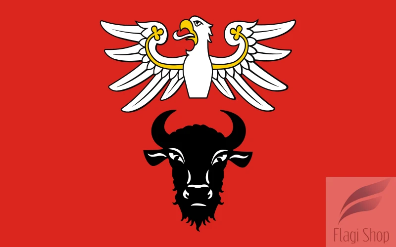 800px-POL_powiat_zambrowski_flag.svg.png