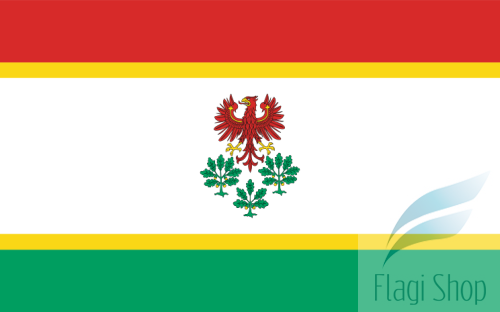 744px-POL_powiat_choszczeński_flag.svg.png