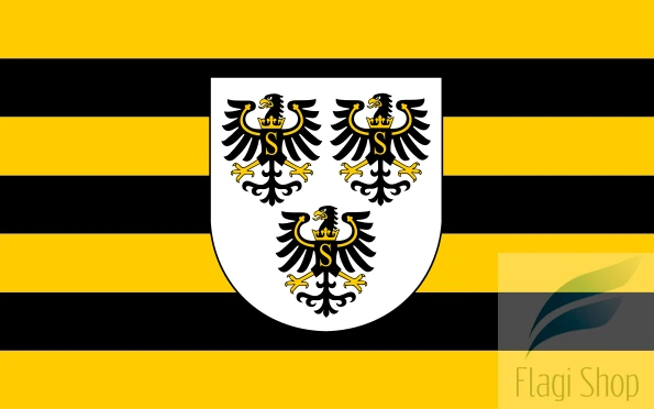 595px-POL_powiat_gołdapski_flag.svg.png