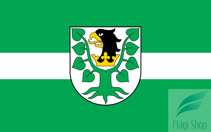 800px-POL_powiat_olecki_flag.svg.png