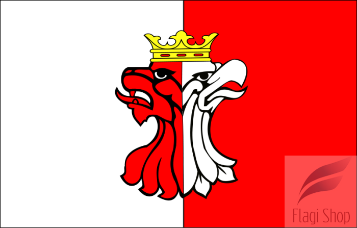 800px-POL_powiat_aleksandrowski_flag.svg.png