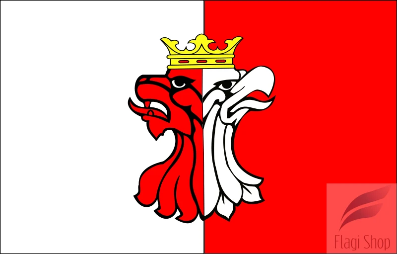 800px-POL_powiat_aleksandrowski_flag.svg.png