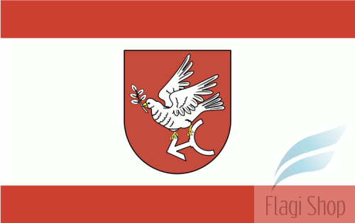 750px-POL_powiat_golubsko-dobrzyński_flag.svg.png