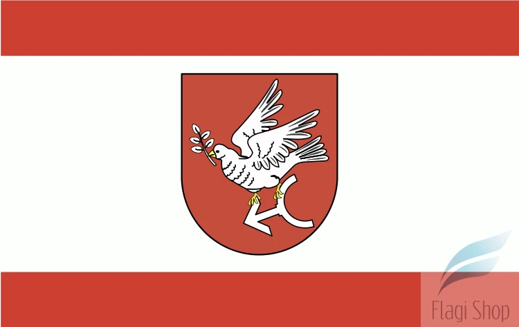 750px-POL_powiat_golubsko-dobrzyński_flag.svg.png
