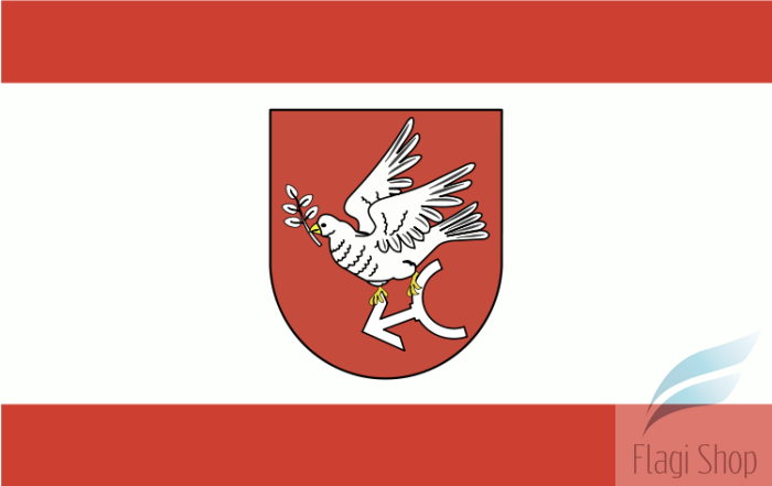 750px-POL_powiat_golubsko-dobrzyński_flag.svg.png