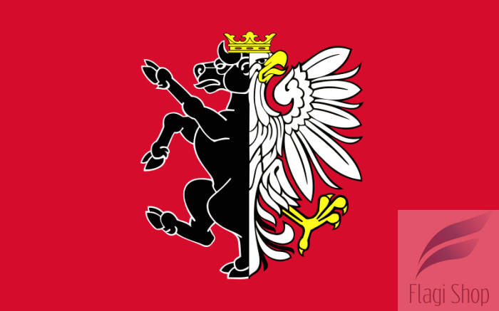 800px-POL_powiat_nakielski_flag.svg.png