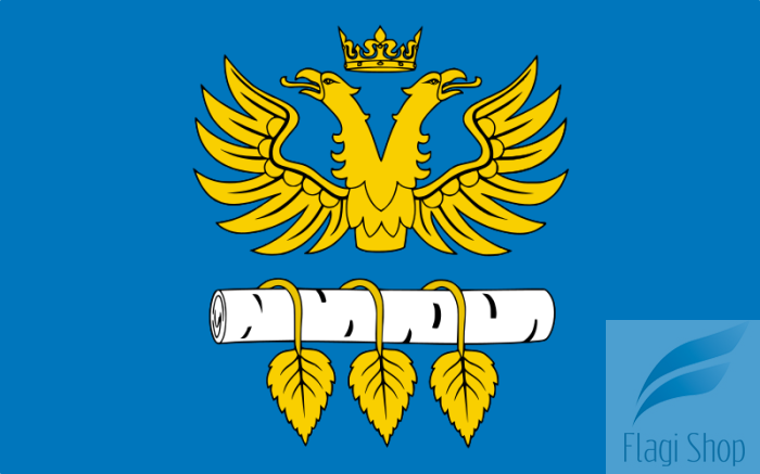 800px-POL_powiat_brzozowski_flag.svg.png