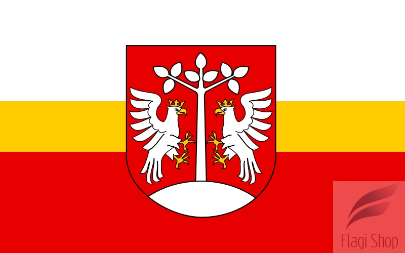 800px-POL_powiat_myślenicki_flag.svg.png