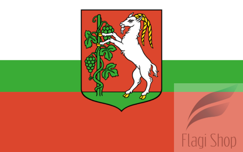 POL_Lublin_flag_1.svg.png