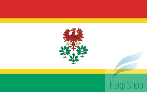 500px-POL_powiat_choszczeński_flag.svg.png