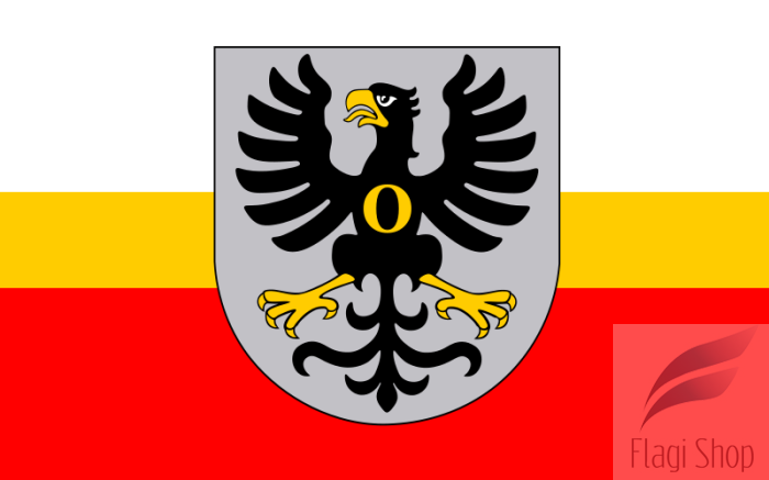 800px-POL_powiat_oświęcimski_flag.svg.png