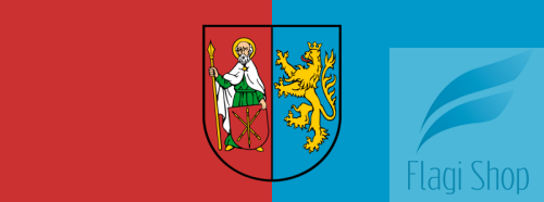 800px-POL_powiat_zamojski_flag.svg.png