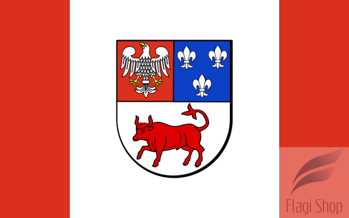 800px-POL_powiat_turecki_flag.svg.png