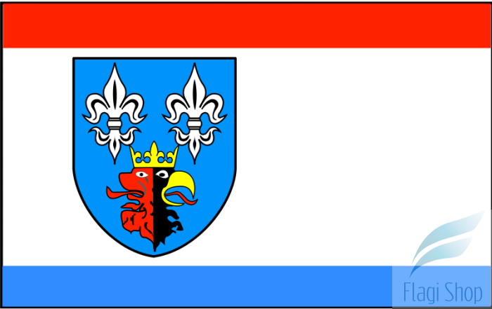 800px-POL_powiat_bełchatowski_flag.svg.png