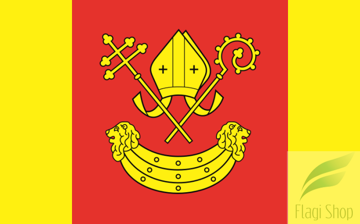 POL_powiat_łaski_flag.svg.png