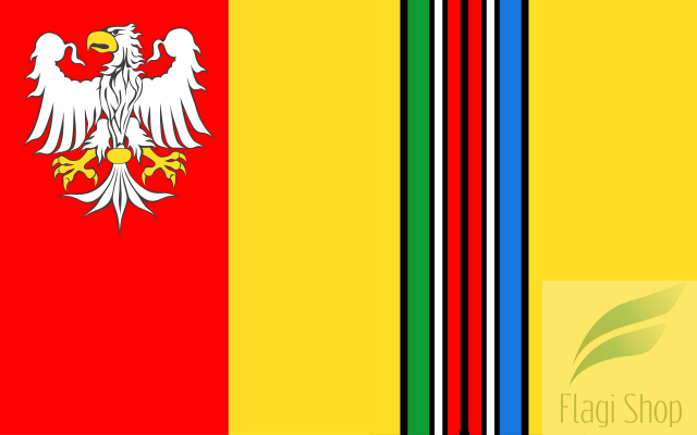 POL_powiat_łowicki_flag.svg.png