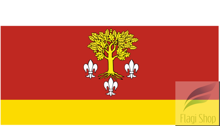 750px-POL_powiat_poddębicki_flag.svg.png