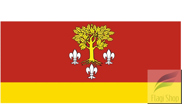 750px-POL_powiat_poddębicki_flag.svg.png