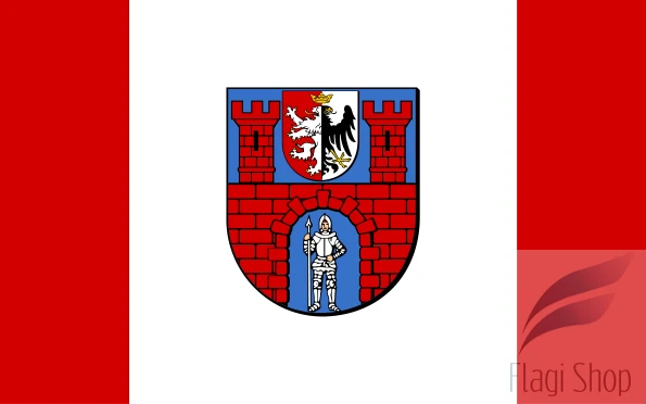 595px-POL_powiat_radomszczański_flag.svg.png