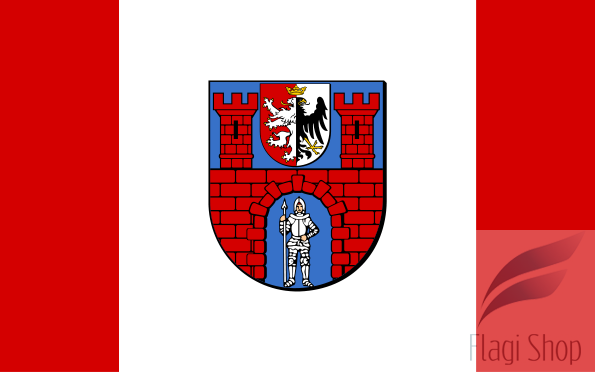 595px-POL_powiat_radomszczański_flag.svg.png