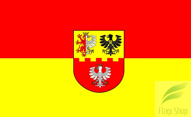 750px-POL_powiat_zgierski_flag.svg.png