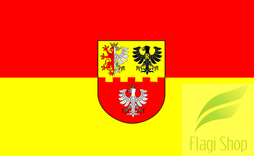 750px-POL_powiat_zgierski_flag.svg.png