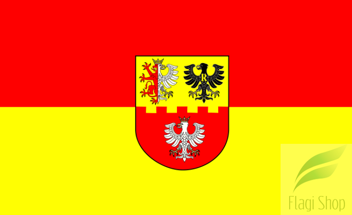 750px-POL_powiat_zgierski_flag.svg.png