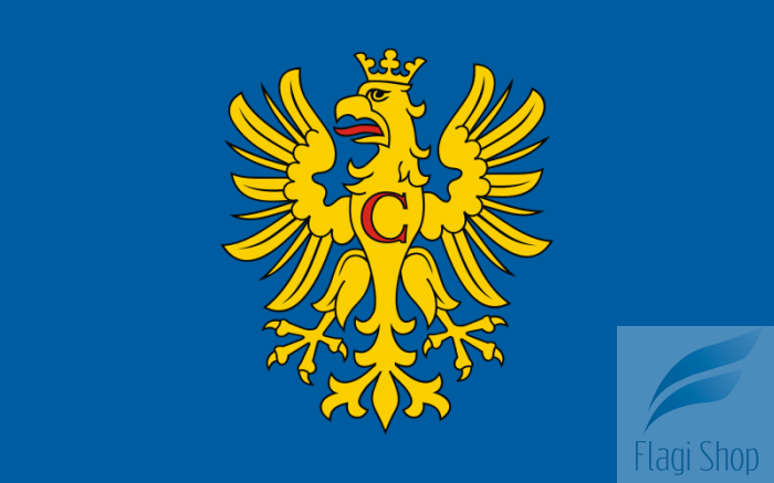 800px-POL_powiat_cieszyński_flag.svg.png