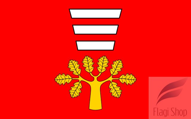 POL_gmina_Hańsk_flag.svg.png